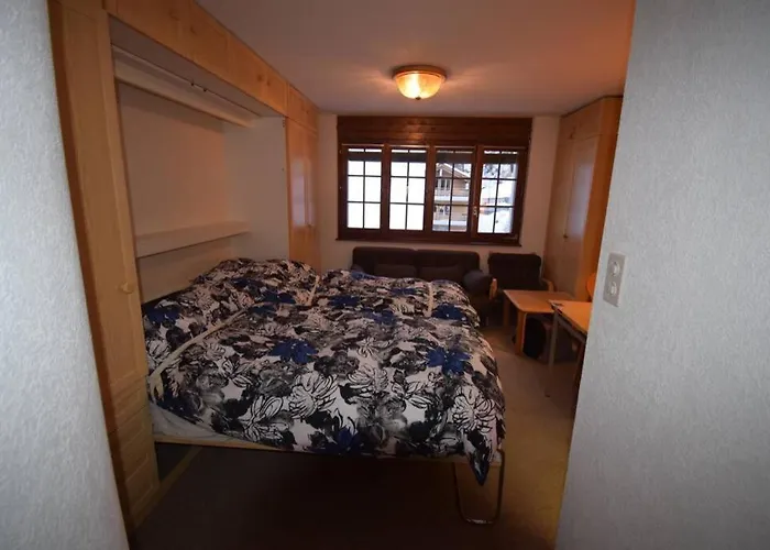 Studio Et Chaleureux 1 * 采尔马特